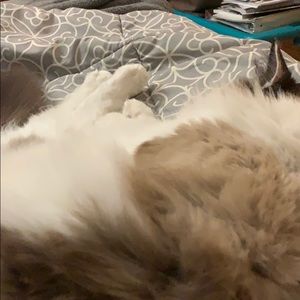 Meet your Posher, Courtney